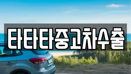경기도 여주시 강천면 중고차 전문 타타타중고차수출