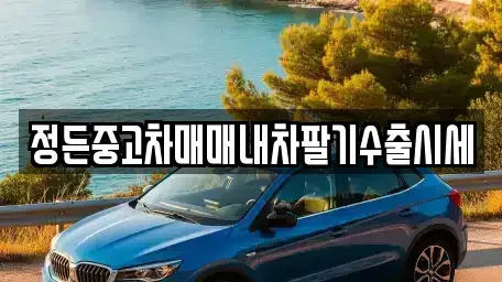 경기도 여주시 강천면 중고차매매 전문 정든중고차매매내차팔기수출시세