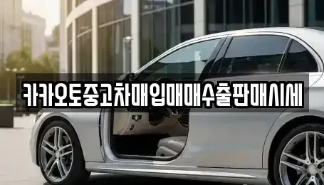 경기도 연천군 미산면 중고차 전문 카카오토중고차매입매매수출판매시세