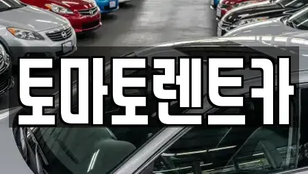 경기도 오산시 누읍동 렌트카 전문 토마토렌트카