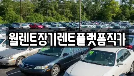 경기도 오산시 누읍동 장기렌트카 전문 월렌트장기렌트플랫폼직카