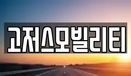 경기도 오산시 지곶동 렌트카 전문 고저스모빌리티
