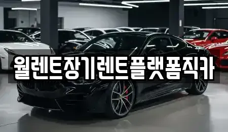 경기도 오산시 지곶동 장기렌트카 전문 월렌트장기렌트플랫폼직카