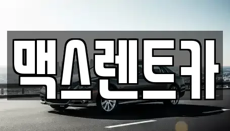 경기도 용인시 기흥구 상하동 렌트카 전문 맥스렌트카