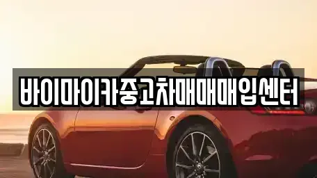 경기도 용인시 기흥구 상하동 중고차매입 전문 바이마이카중고차매매매입센터