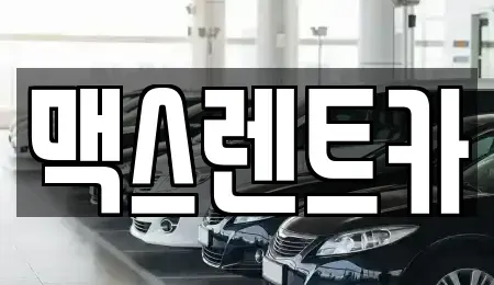 경기도 용인시 기흥구 청덕동 렌트카 전문 맥스렌트카