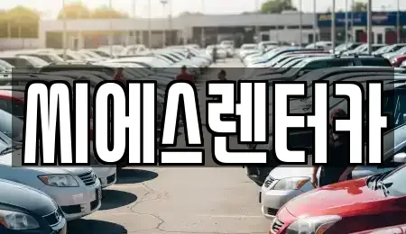 경기도 용인시 기흥구 청덕동 렌트카 전문 씨에스렌터카