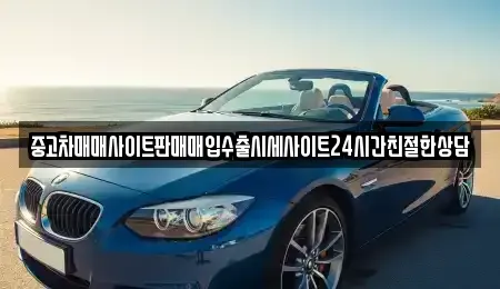 경기도 용인시 기흥구 청덕동 중고차 전문 중고차매매사이트판매매입수출시세사이트24시간친절한상담