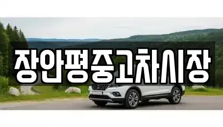 경기도 용인시 처인구 남동 중고차 전문 장안평중고차시장