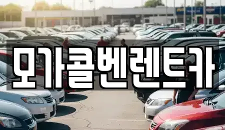 경기도 이천시 설성면 렌트카 전문 모가콜벤렌트카