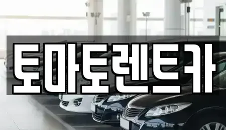 경기도 이천시 설성면 렌트카 전문 토마토렌트카