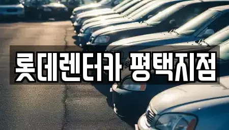 경기도 평택시 고덕동 단기렌트카 전문 롯데렌터카 평택지점