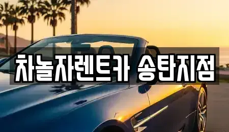 경기도 평택시 고덕동 단기렌트카,중고차매입,중고차매매,중고차,렌트카,장기렌트카