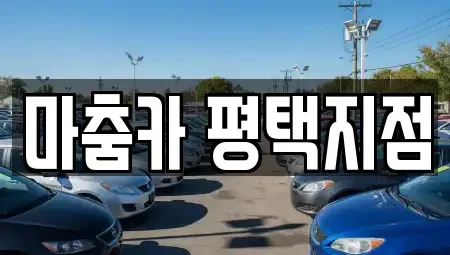 경기도 평택시 고덕동 렌트카 전문 마춤카 평택지점