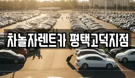 경기도 평택시 고덕동 렌트카 전문 차놀자렌트카 평택고덕지점
