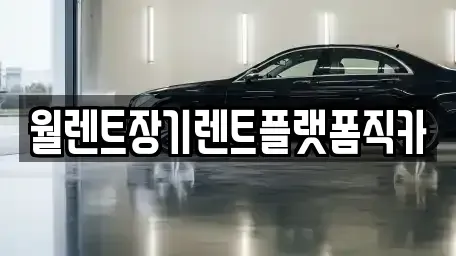 경기도 평택시 고덕동 장기렌트카 전문 월렌트장기렌트플랫폼직카