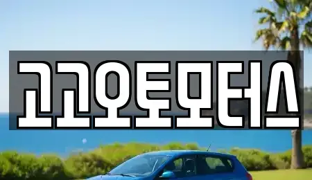 경기도 평택시 고덕동 중고차 전문 고고오토모터스