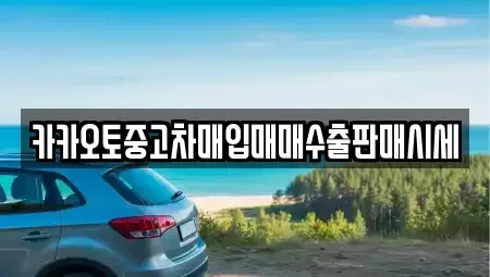 경기도 평택시 고덕동 중고차매입 전문 카카오토중고차매입매매수출판매시세