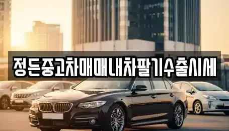 경기도 포천시 화현면 중고차 전문 정든중고차매매내차팔기수출시세