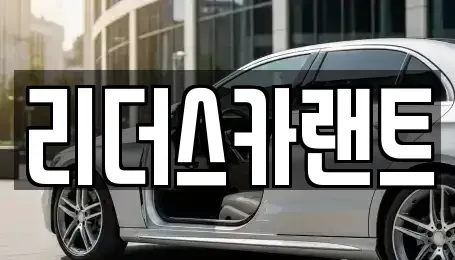 경기도 하남시 미사동 단기렌트카 전문 리더스카랜트