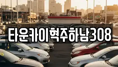경기도 하남시 미사동 단기렌트카 전문 타운카이혁주하남308