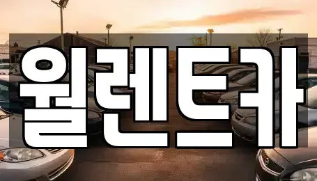 경기도 하남시 미사동 렌트카 전문 월렌트카