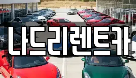 경기도 하남시 미사동 장기렌트카 전문 나드리렌트카