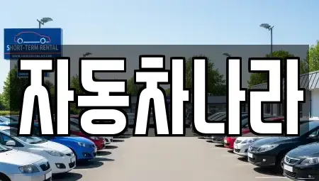 경기도 하남시 미사동 중고차매매 전문 자동차나라