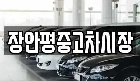 경기도 하남시 미사동 중고차매매,단기렌트카,중고차매입,장기렌트카,중고차,렌트카