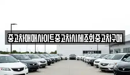 경기도 하남시 미사동 중고차매매 전문 중고차매매사이트중고차시세조회중고차구매