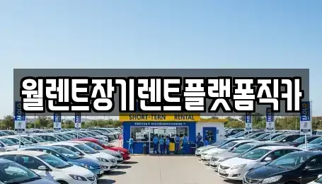 경기도 하남시 창우동 렌트카 전문 월렌트장기렌트플랫폼직카