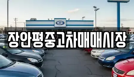경기도 하남시 창우동 중고차 전문 장안평중고차매매시장