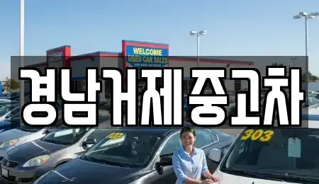경남 거제시 고현동 중고차매매 전문 경남거제중고차