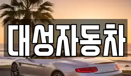경남 거제시 고현동 중고차매매 전문 대성자동차