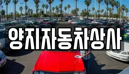 경남 거제시 고현동 중고차매매 전문 양지자동차상사