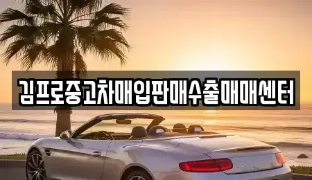 경남 거제시 고현동 중고차매입 전문 김프로중고차매입판매수출매매센터