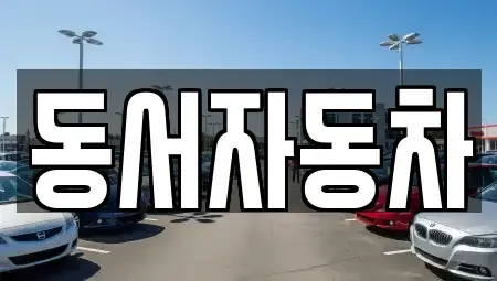 경남 거제시 사등면 중고차매매 전문 동서자동차