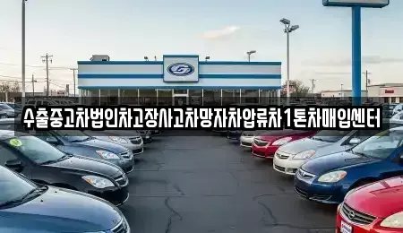 경남 고성군 회화면 중고차 전문 수출중고차법인차고장사고차망자차압류차1톤차매입센터