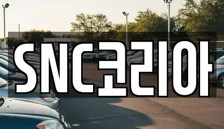 경남 김해시 내동 렌트카 전문 SNC코리아