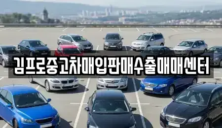 경남 김해시 내동 중고차매입 전문 김프로중고차매입판매수출매매센터