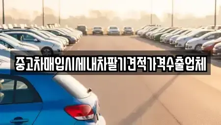 경남 김해시 내동 중고차매입 전문 중고차매입시세내차팔기견적가격수출업체