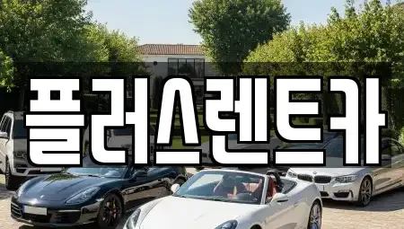 경남 김해시 삼정동 장기렌트카 전문 플러스렌트카