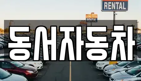 경남 김해시 삼정동 중고차매매,단기렌트카,중고차매입,장기렌트카,중고차,렌트카