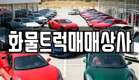 경남 김해시 삼정동 중고차매매 전문 화물트럭매매상사