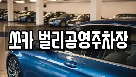경남 사천시 동금동 렌트카 전문 쏘카 벌리공영주차장