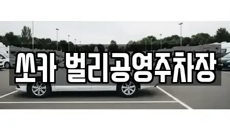 경남 사천시 용강동 렌트카 전문 쏘카 벌리공영주차장