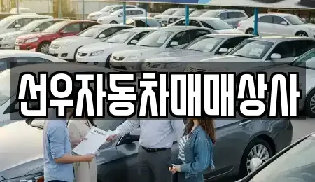 경남 사천시 용강동 중고차매매 전문 선우자동차매매상사