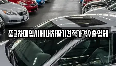 경남 사천시 용강동 중고차매입 전문 중고차매입시세내차팔기견적가격수출업체