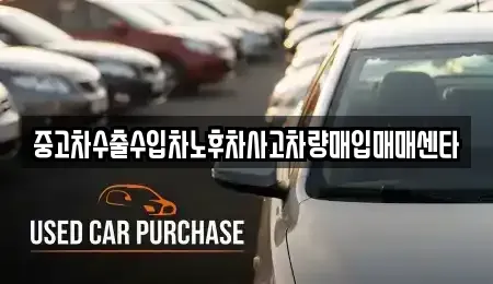 경남 사천시 용강동 중고차매입 전문 중고차수출수입차노후차사고차량매입매매센타