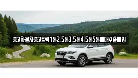 경남 산청군 삼장면 중고차 전문 중고화물차중고트럭1톤2.5톤3.5톤4.5톤5톤매매수출매입